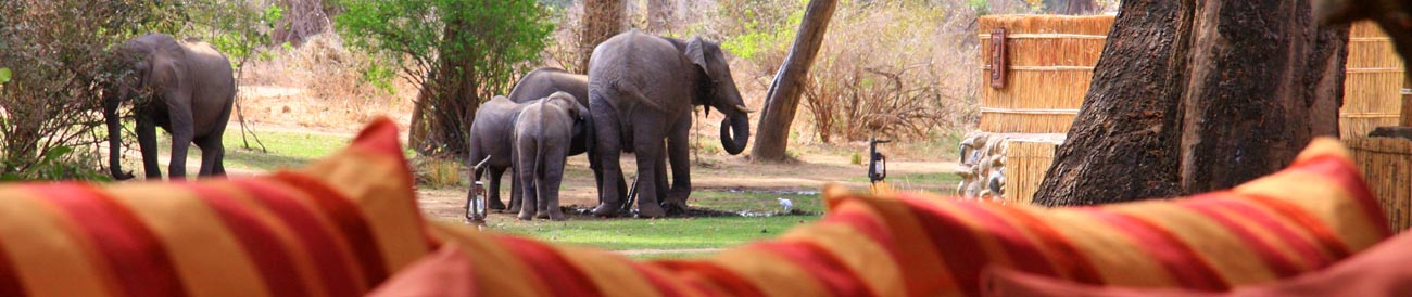 Chongwe River Camp